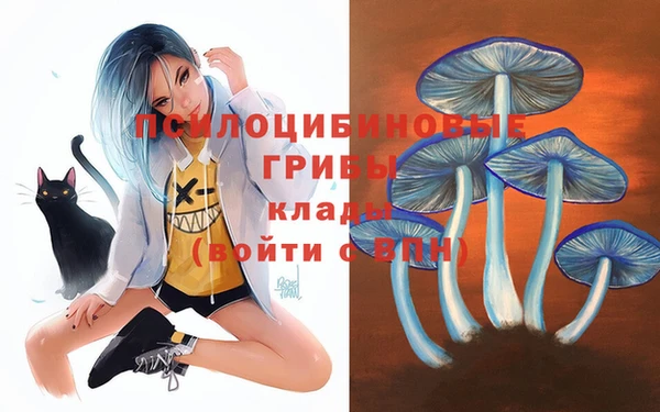 экстази Краснослободск