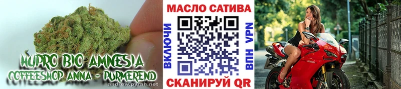 Купить закладки  Кущёвская  ТГК гашишное масло 